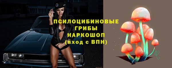 прущая мука Медвежьегорск