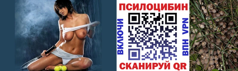 Псилоцибиновые грибы мухоморы  где купить наркоту  Тольятти 